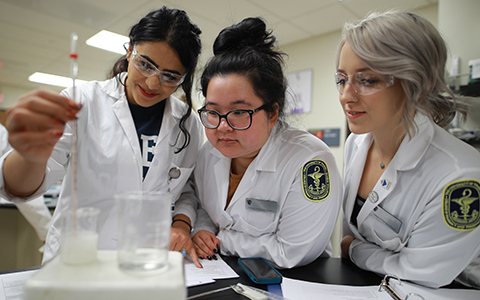 Three female students working together on a project