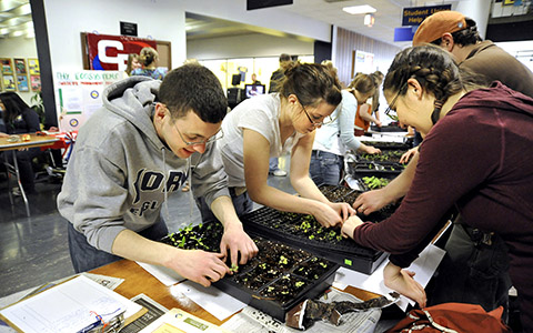 A group standing over a table adjust potted plants filled with soil and a sapling